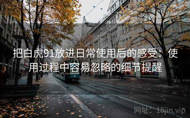 把白虎91放进日常使用后的感受：使用过程中容易忽略的细节提醒