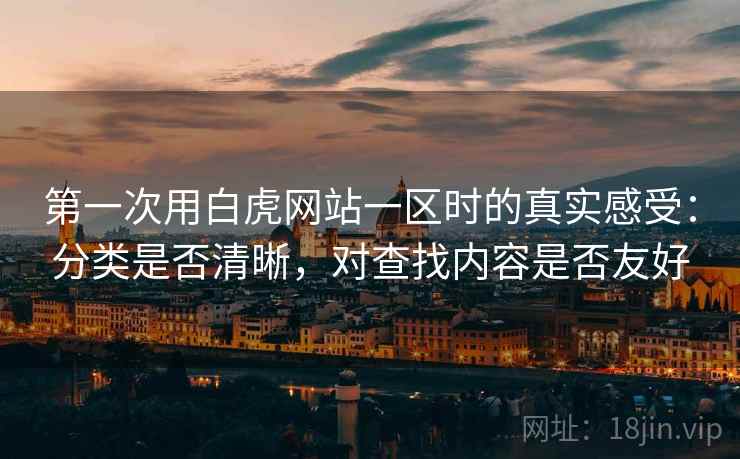 第一次用白虎网站一区时的真实感受：分类是否清晰，对查找内容是否友好
