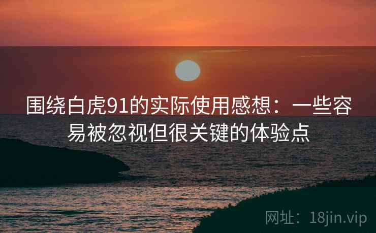 围绕白虎91的实际使用感想:一些容易被忽视但很关键的体验点 围绕白虎91的实际使用感想:一些容易被忽视但很关键的体验点