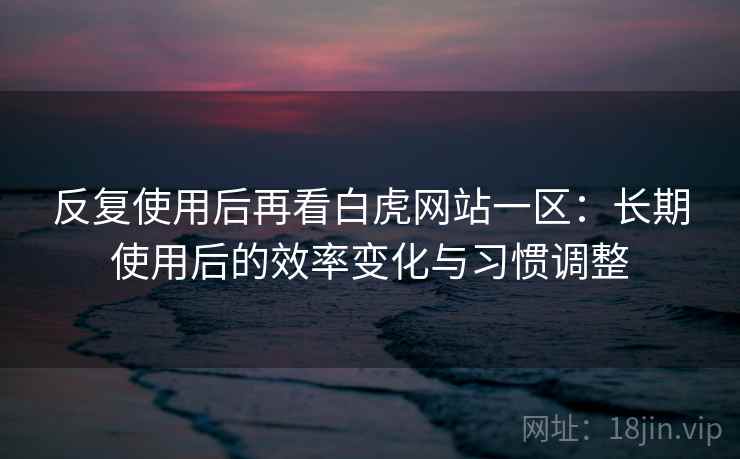 反复使用后再看白虎网站一区：长期使用后的效率变化与习惯调整