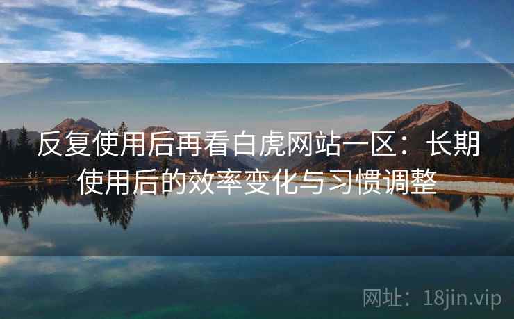 反复使用后再看白虎网站一区：长期使用后的效率变化与习惯调整