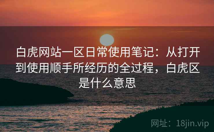 白虎网站一区日常使用笔记：从打开到使用顺手所经历的全过程，白虎区是什么意思