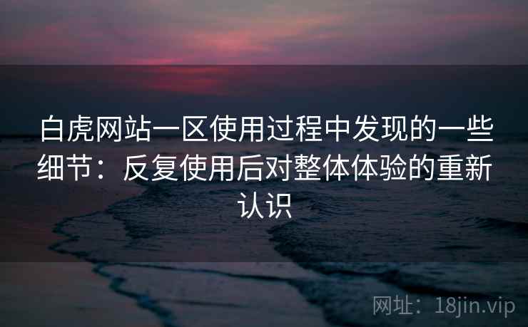 白虎网站一区使用过程中发现的一些细节：反复使用后对整体体验的重新认识