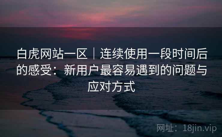 白虎网站一区｜连续使用一段时间后的感受：新用户最容易遇到的问题与应对方式