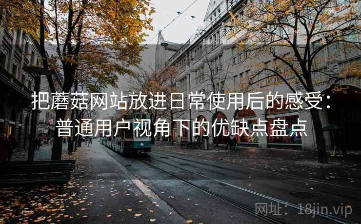 把蘑菇网站放进日常使用后的感受：普通用户视角下的优缺点盘点