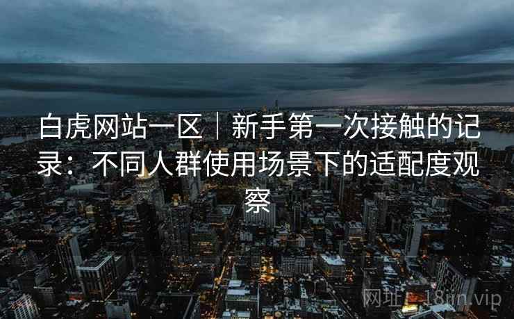 白虎网站一区|新手第一次接触的记录:不同人群使用场景下的适配度观察 白虎网站一区|新手第一次接触的记录:不同人群使用场景下的适配度观察