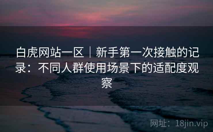 白虎网站一区｜新手第一次接触的记录：不同人群使用场景下的适配度观察