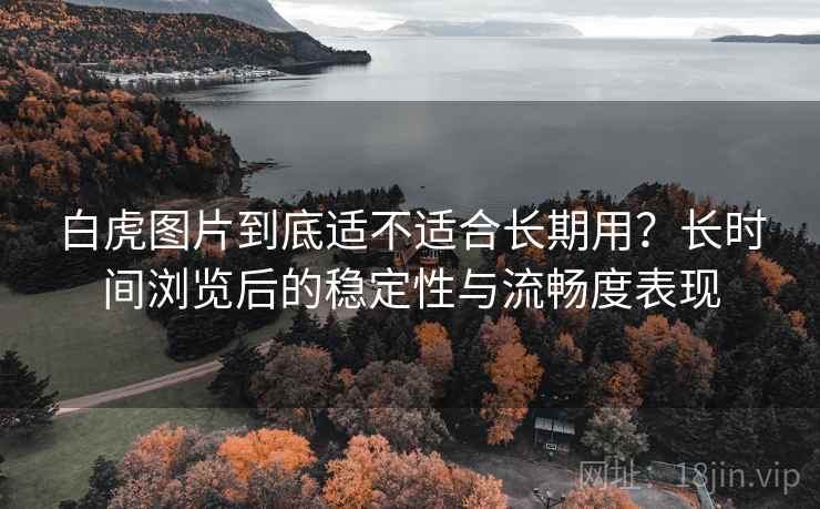 白虎图片到底适不适合长期用？长时间浏览后的稳定性与流畅度表现