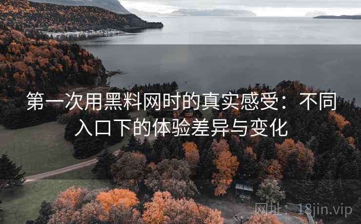 第一次用黑料网时的真实感受:不同入口下的体验差异与变化 第一次用黑料网时的真实感受:不同入口下的体验差异与变化