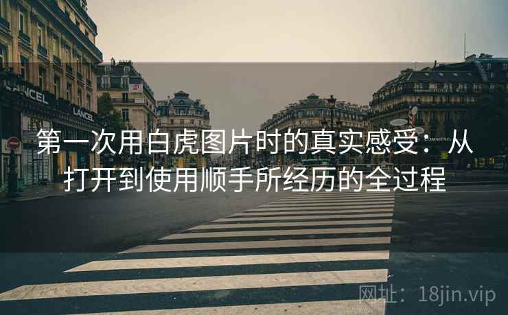 第一次用白虎图片时的真实感受:从打开到使用顺手所经历的全过程 第一次用白虎图片时的真实感受:从打开到使用顺手所经历的全过程