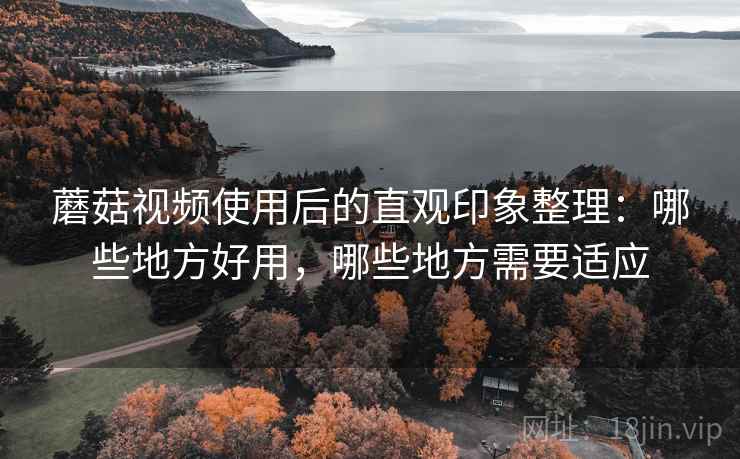 蘑菇视频使用后的直观印象整理：哪些地方好用，哪些地方需要适应